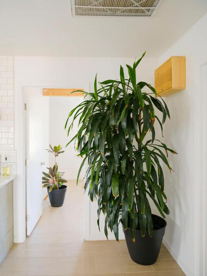 ג'ושואה טרי The Zen - Outdoor Shower, Gas Fireplace, Walkable To Shops & Restaurants מראה חיצוני תמונה